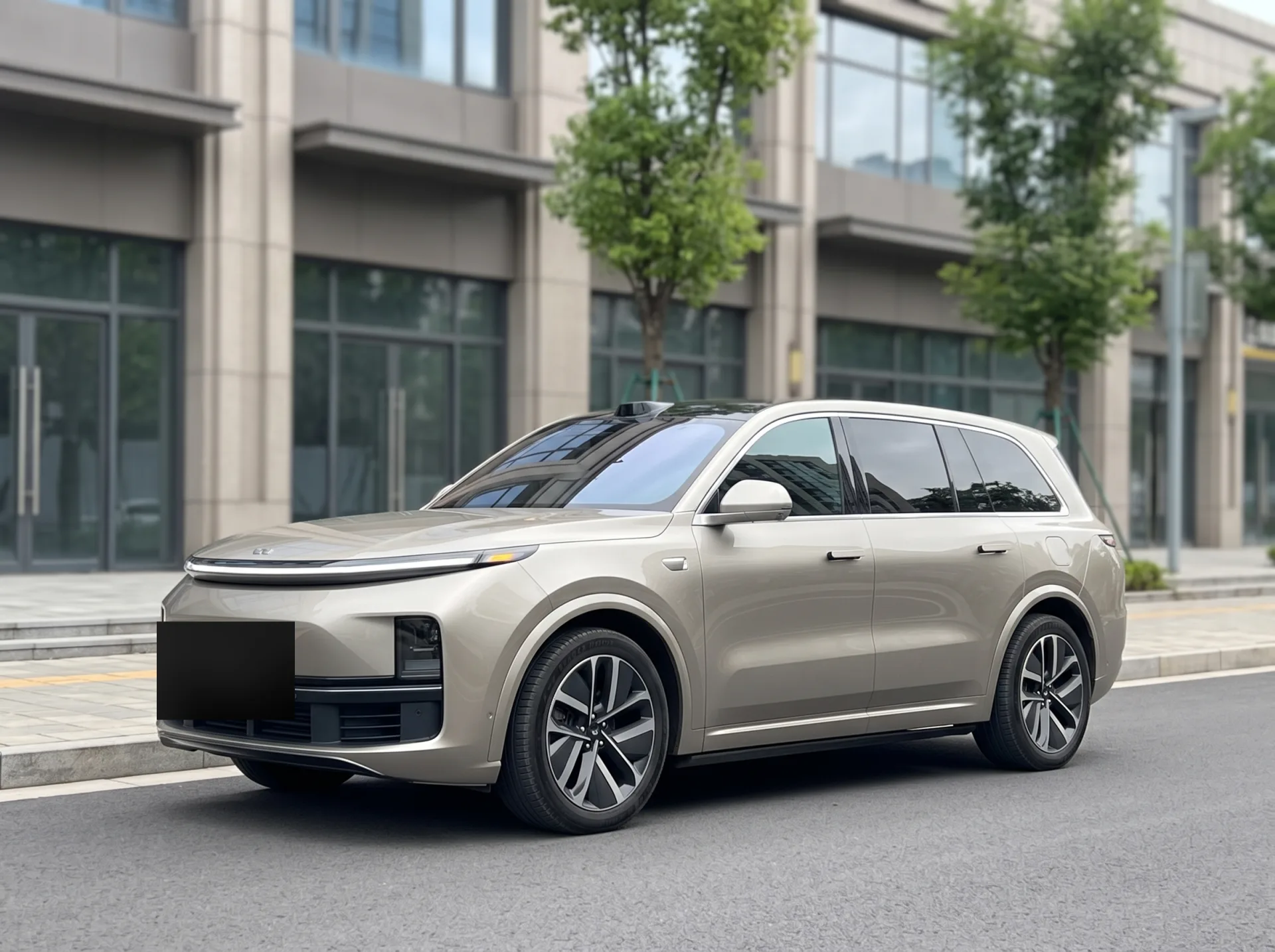 Lixiang L9